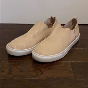 Steve Madden Janzer Sneakers